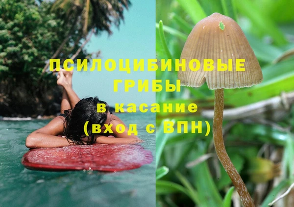 apvp Верхний Тагил