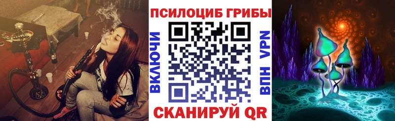 где купить   Владикавказ  Псилоцибиновые грибы MAGIC MUSHROOMS 